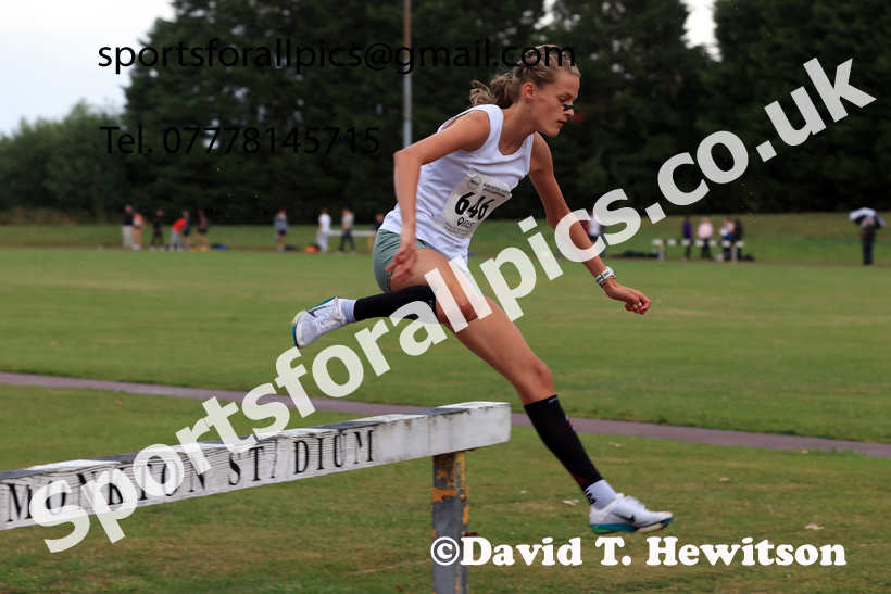 Steeplechase, 2026 NEGP No 5, Monkton. Photo: David T. Hewitson/Sports for All Pics